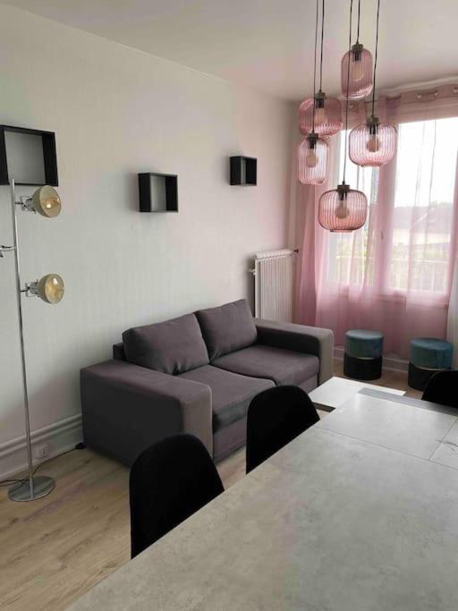 Bel Appartement Centre Ville De Vierzon Dış mekan fotoğraf