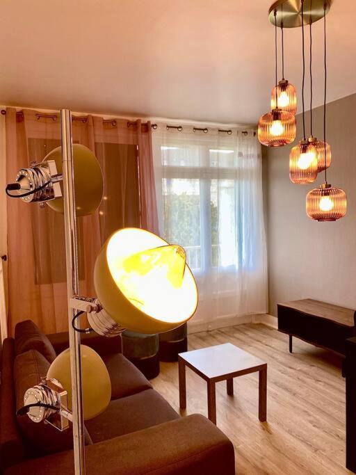 Bel Appartement Centre Ville De Vierzon Dış mekan fotoğraf
